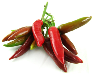 peperoncino