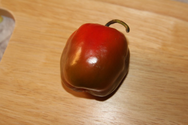 peperoncino rocoto red
