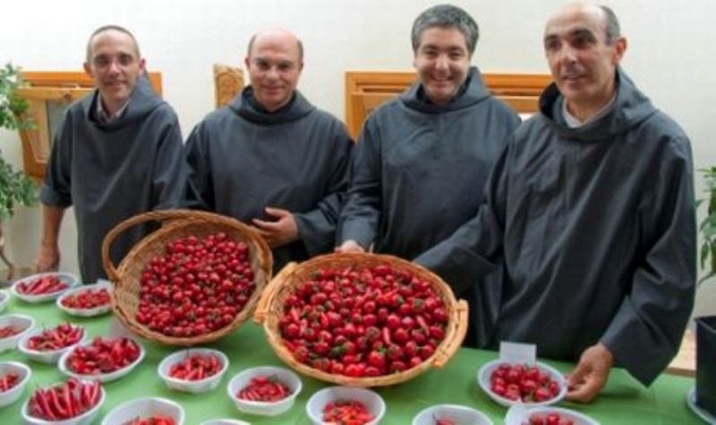 Frati_800x475
