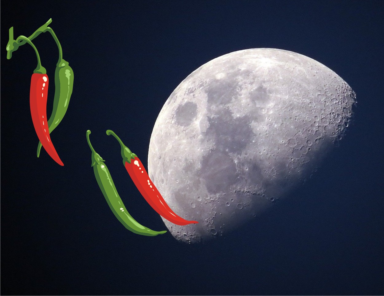 peperoncini e fase lunare
