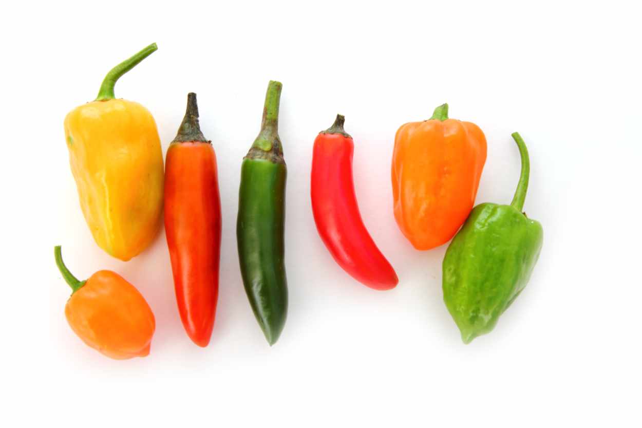 tanti peperoncini di varietà diverse