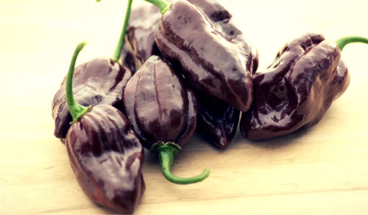 habanero chocolate